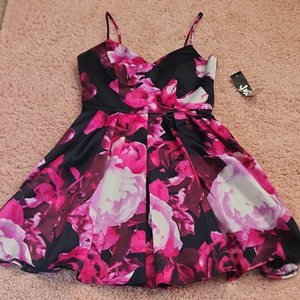 Floral Fit & Flare Party Dress in Black and Pink Rose Print